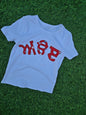 EMBROIDERY T SHIRT WITH PUNJABI ALPHABETS
